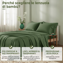 100% Seta di Gelso – Morbidezza e freschezza ogni notte 🌙 -30% oggi + federa GRATIS